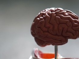 Доктор Мясников: редкая и резкая головная боль - возможный симптом опухоли мозга