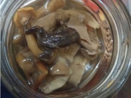 Покупатель из Новосибирска нашел лягушку в банке соленых грибов