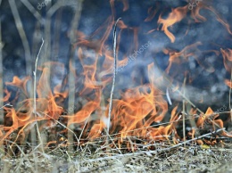 Мэр Белгорода предупредил горожан об опасности природных пожаров