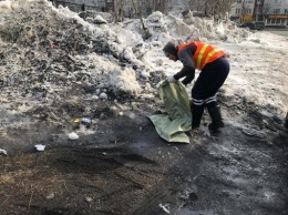 Петропавловск-Камчатский чистят от снега и мусора