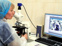 В Белгородской области коронавирус найден в 11 муниципалитетах