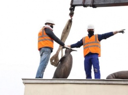 На входе в Калининградский зоопарк устанавливают новые бронзовые скульптуры (фото)