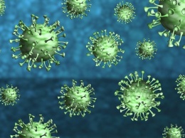 Исследователи проехали Томск со штаммом коронавируса