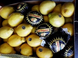 Калининградские таможенники не пустили в область крупную партию лимонов и имбиря