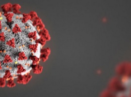 В Югре 15 новых случаев заболевания коронавирусом