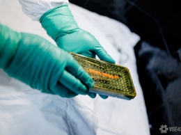 Четвертая лаборатория начала выявлять коронавирусную инфекцию в Кузбассе