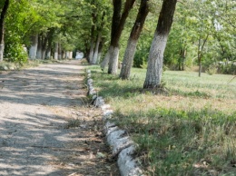 В Екатеринбурге из-за жалобы в УФАС приостановили закупку на реконструкцию парка