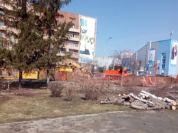Кемеровчане возмутились вырубкой деревьев в городском парке