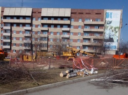 Власти Кемерова прокомментировали вырубку деревьев в парке Жукова
