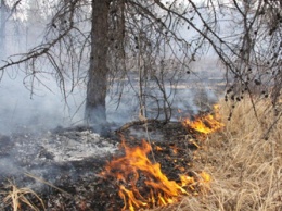 С помощью квадрокоптеров в Приамурье начали отслеживать пожары
