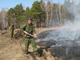 Лес загорелся в Мариинском районе Кузбасса