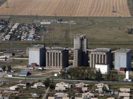 Алтайские хлебоприемные предприятия приняли участие в зерновых торгах
