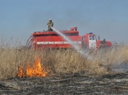 В Приамурье создали 13 временных пожарных постов