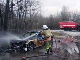 На белгородской трассе дотла сгорел BMW