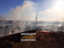 Пожар вспыхнул возле Соснового бора в Кемерове