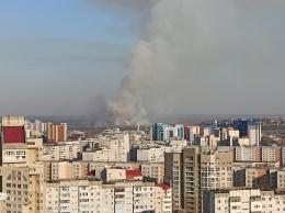 «Шашлыки удались»: в Барнауле на берегу Оби разгорелся крупный пожар