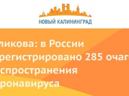 Голикова: в России зарегистрировано 285 очагов распространения коронавируса