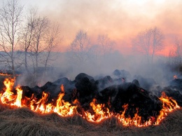 В Алтайском крае пресекли более 50 нарушений с разведением открытого огня