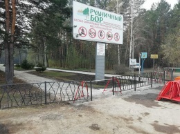 Кемеровские власти запретили ходить в бор