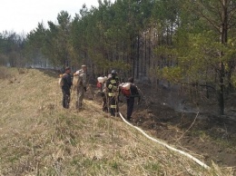 В Алтайском крае потушили пожар в лесополосе площадью почти 2 гектара