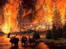 В Приамурье зарегистрировано 11 природных пожаров