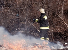 Высокая пожароопасность сохранится в Алтайском крае до 30 апреля