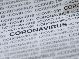 Возможная дата окончания эпидемии коронавируса в России изменилась