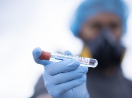 Названы новые сроки пика эпидемии коронавируса в России