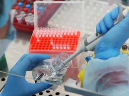 В Югре платный тест на коронавирус может пройти любой человек