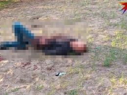 Подозреваемый в убийстве супруги скончался после жесткой полицейской погони в Рубцовске