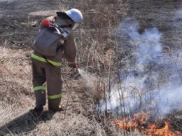 В Приамурье организованы 22 временных пожарных поста