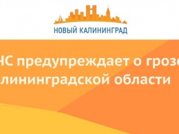 МЧС предупреждает о грозе в Калининградской области