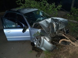 Водитель легковушки "исчез" после столкновения с деревом на скорости в ЕАО