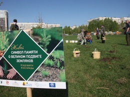 В память о земляках: 75 елей и сосенок высадили в Барнауле