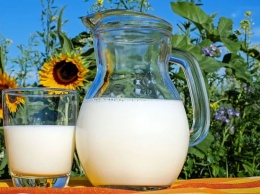 Алтайпищепром: Снижение закупочных цен на молоко некритично