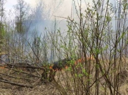 С начала мая в Нижнем Тагиле и ГГО произошло 39 пожаров сухой травы