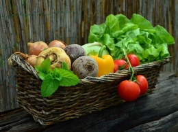 ФАС: рост цен на овощи в России носит сезонный характер