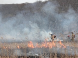 В Свердловской области на праздники из-за пожаров усилят патрулирование лесов