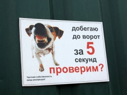 В Белгороде полицейские пристрелили агрессивную собаку