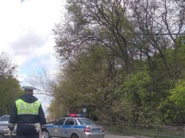В Симферополе упавшее дерево перекрыло дорогу и оставило людей без интернета, - ФОТО