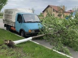 В Белгородской области ураганный ветер повалил деревья