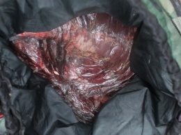 Браконьеров, убивших косулю, поймали в Алтайском крае