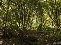 Житель ХМАО ушел спать в лес после двойного убийства в общежитии