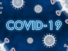 Российский медик рассказал о методике оценки смертности от коронавируса