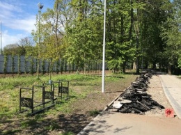 В Калининграде в Южном парке снова демонтируют новую дорожку (фото)