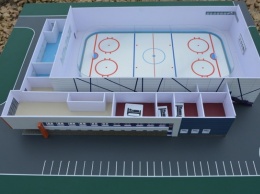 Конкурс на название будущей ледовой арены объявили в Рубцовске