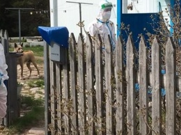 Новый большой очаг коронавируса зафиксирован в Олонецком районе, но это хорошо