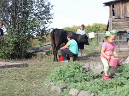 В Алтайском крае вырос спрос на социальные контракты
