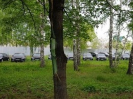 Обнаруженные в лесу под Челябинском машины отправят на борьбу с COVID-19