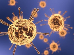 В Республике Алтай выявлено два новых случая коронавируса